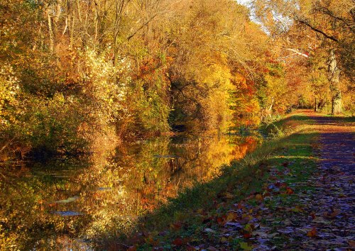 A serene autumn scene with colorful trees reflecting in a calm canal beside a walking path.
