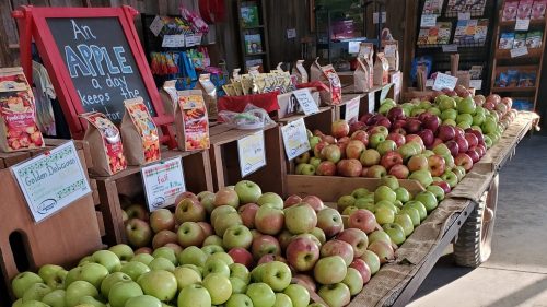 A market display featuring various types of apples in wooden crates, with signs and apple-related products in the background.