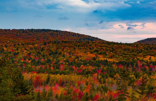 A vibrant autumn landscape with colorful trees in shades of red, orange, and yellow against a cloudy sky.