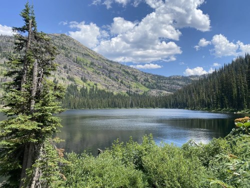 A serene lake surrounded by lush greenery and mountains under a blue sky with fluffy clouds.