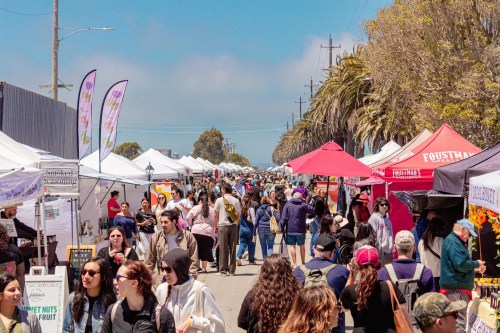 A bustling outdoor market with numerous tents, people browsing, and palm trees lining the street under a clear blue sky.