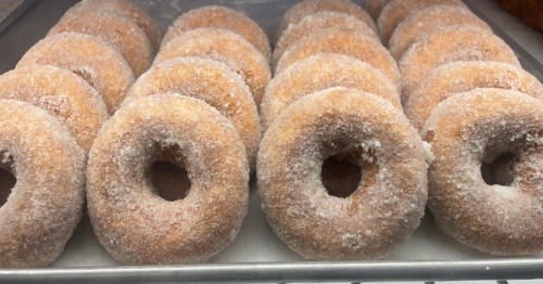A close-up of freshly made, sugar-coated donuts arranged in a neat row.