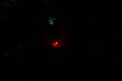 A dark forest scene illuminated by a red light, with faint glimmers of light scattered throughout.