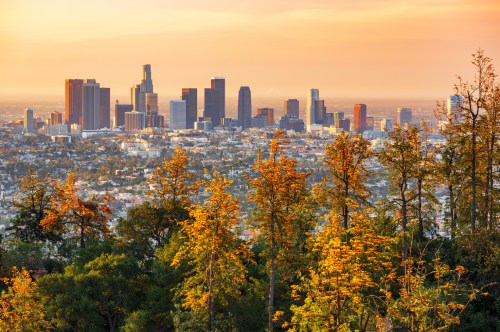 Sunset over Los Angeles skyline, framed by autumn trees, showcasing a vibrant cityscape and warm colors.