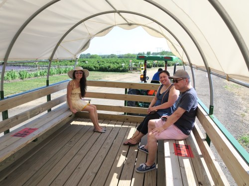 Three people sitting on a wooden bench inside a covered tractor trailer, surrounded by greenery on a sunny day.