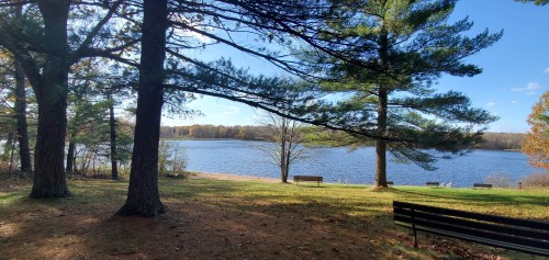 A serene lakeside view framed by tall trees, with benches and autumn foliage under a clear blue sky.