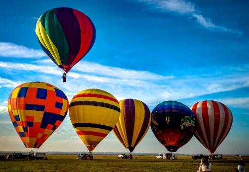 A row of colorful hot air balloons against a blue sky, with one balloon ascending above the others.