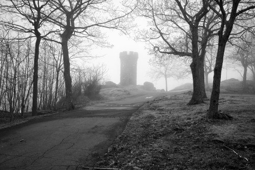 A foggy landscape featuring a stone tower surrounded by bare trees and a winding path. Black and white image.
