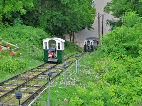 Two small green rail cars travel along a track through lush greenery, with a road visible in the background.