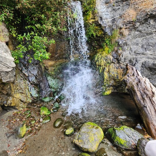 A small waterfall cascades over rocks into a serene pool, surrounded by lush greenery and moss-covered stones.