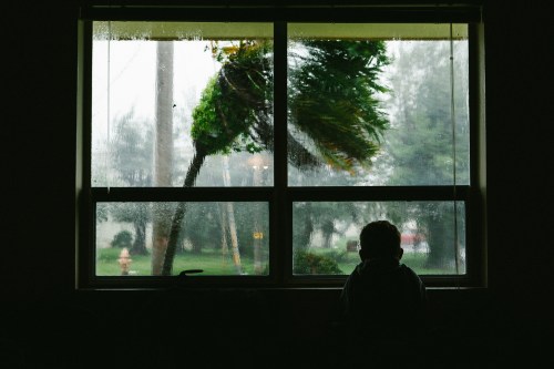 A silhouette of a person sitting by a window, watching heavy rain and swaying trees outside.