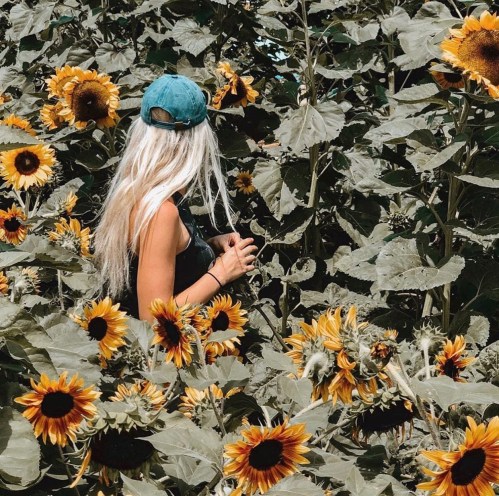 A person with long blonde hair stands among tall sunflowers, wearing a green cap and holding a camera.