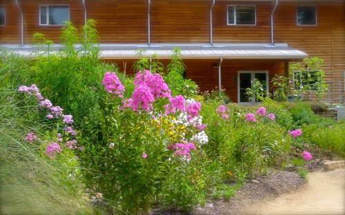 A vibrant garden filled with colorful flowers in front of a wooden building, surrounded by greenery.