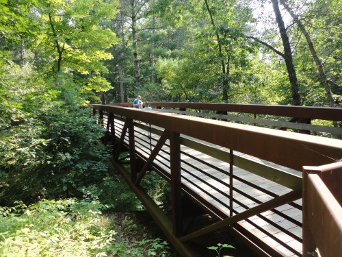 A metal bridge spans a lush green forest, with trees surrounding it and a person walking in the distance.