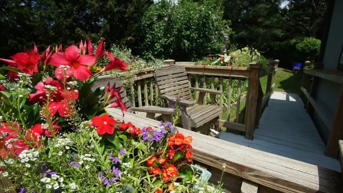 A wooden deck surrounded by vibrant flowers, featuring a bench and lush greenery in the background.
