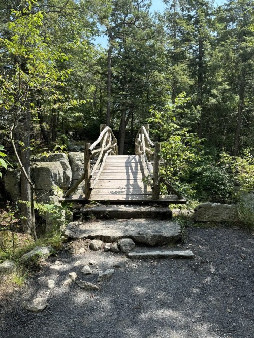 A wooden bridge surrounded by trees and rocks, leading into a lush, green forest.