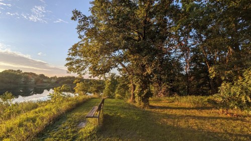 A serene riverside scene at sunset, featuring a bench under a tree and lush greenery along the water's edge.
