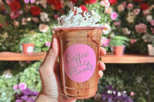 A hand holding a coffee drink topped with whipped cream, featuring a "Coffee and Plants" label, against a floral backdrop.