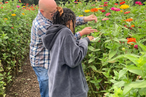 A man and a woman pick flowers in a vibrant garden filled with colorful blooms.