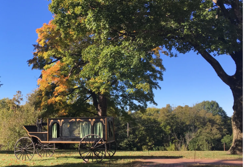 A vintage horse-drawn carriage sits under a large tree with colorful autumn leaves against a clear blue sky.