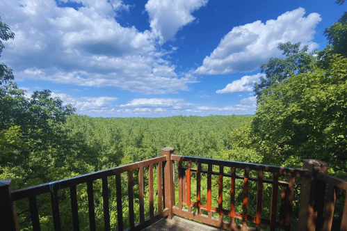 A wooden balcony overlooks a lush green forest under a bright blue sky with fluffy white clouds.