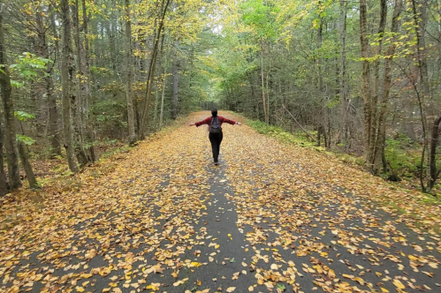 Person walking with hands stretched out down a wooded path with yellow leaves blanketing the ground.