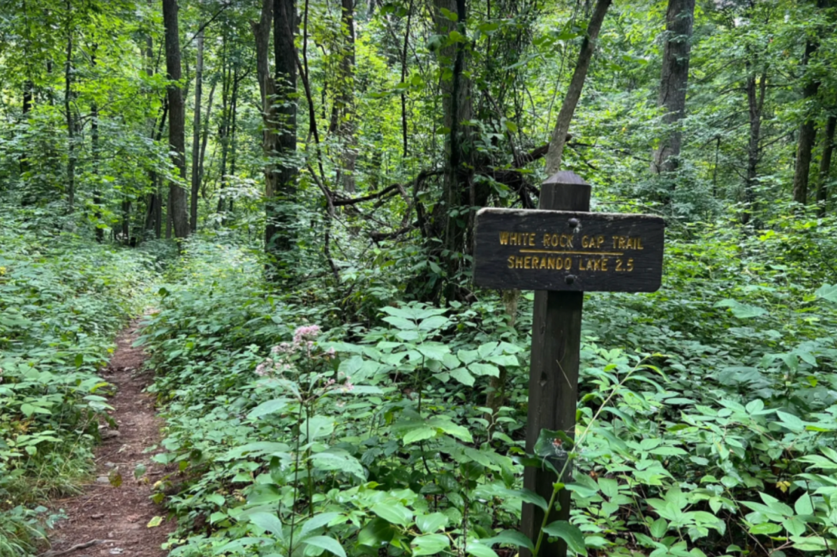 Discover the Hidden Gem of White Rock Falls in Virginia