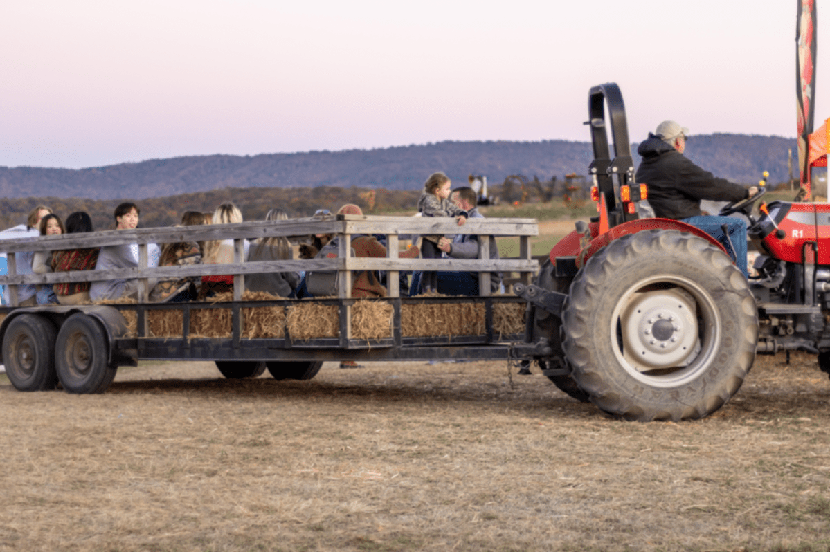 Experience the Best Pumpkin Festival at Sinkland Farms, Virginia