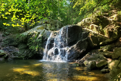 A serene waterfall cascading over rocks into a calm pool, surrounded by lush green foliage.