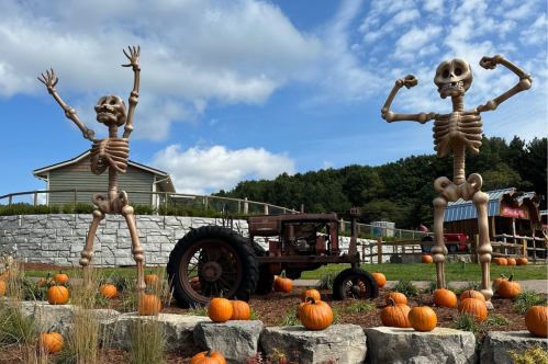 Two large skeleton decorations pose cheerfully among pumpkins near a rustic tractor and a backdrop of trees and clouds.