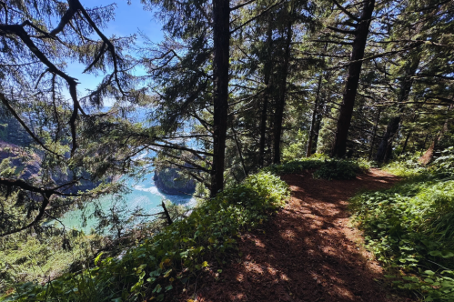 A scenic forest trail leads to a view of a turquoise bay surrounded by trees and rocky cliffs under a clear blue sky.