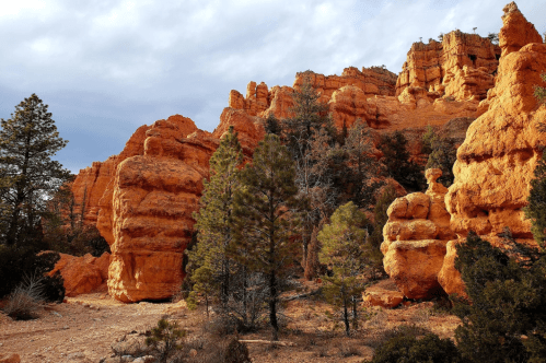 Rocky orange cliffs rise above a forest of green pine trees under a cloudy sky.