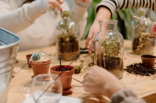 People working together to create terrariums with plants and soil on a wooden table.