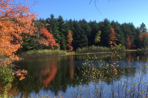 A serene lake surrounded by trees with vibrant autumn foliage reflecting on the water under a clear blue sky.