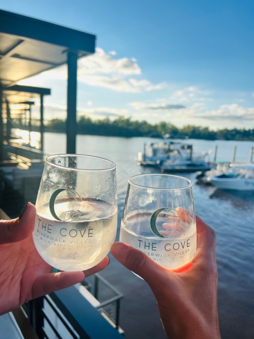 Two hands hold glasses of sparkling drinks, with a scenic waterfront and boats in the background at The Cove.
