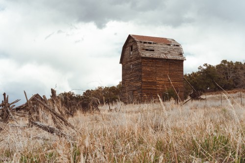 A weathered wooden barn stands in a grassy field under a cloudy sky, surrounded by sparse trees and old fencing.