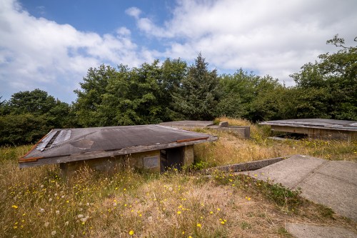 Abandoned concrete structures overgrown with grass and wildflowers, set against a backdrop of trees and a cloudy sky.