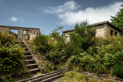 Abandoned building surrounded by overgrown vegetation and stairs leading up to it under a cloudy sky.