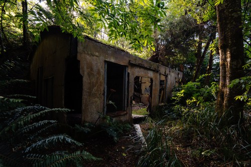 An abandoned, weathered building surrounded by lush greenery and trees in a forested area.