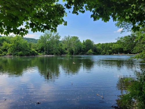 A serene lake surrounded by lush greenery and trees under a clear blue sky. Reflections shimmer on the water's surface.
