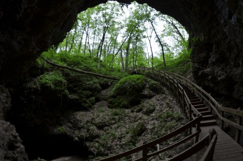 A wooden walkway leads through a cave opening, surrounded by lush greenery and trees above.