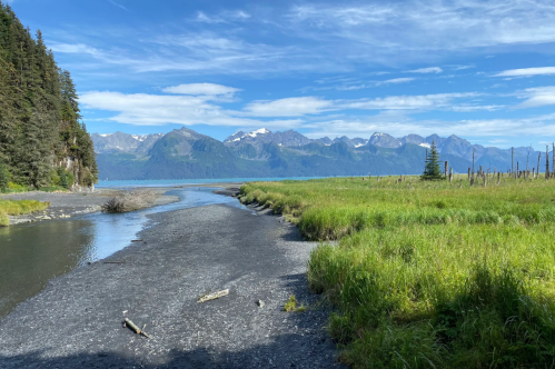 A serene landscape featuring a river winding through grassy fields, with mountains and a blue sky in the background.