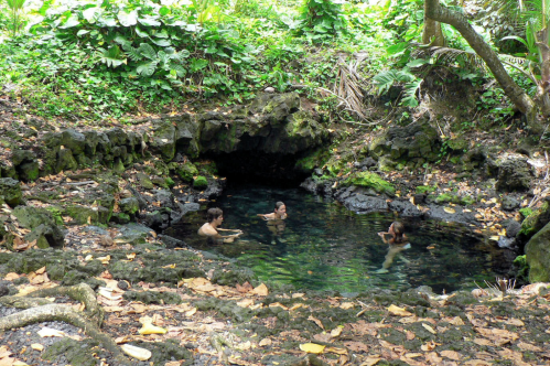 Three people relax in a natural pool surrounded by lush greenery and rocky formations.