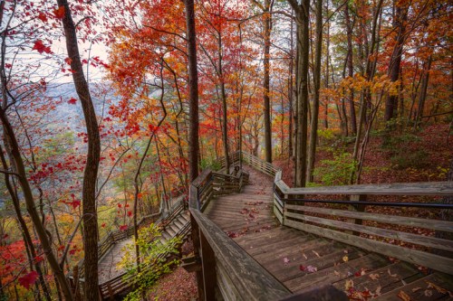 Winding wooden staircase through a vibrant autumn forest with colorful leaves.