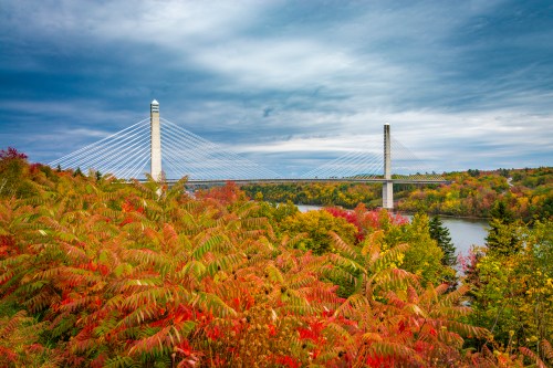 A cable-stayed bridge spans a river, surrounded by vibrant autumn foliage under a cloudy sky.
