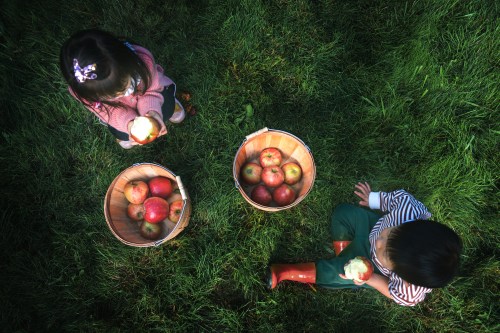 Two young kids sit on green grass with two baskets of freshly picked apples.