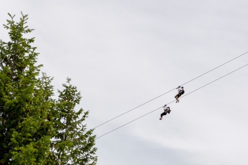 Two zipliners glide along cables above a green tree against a cloudy sky.