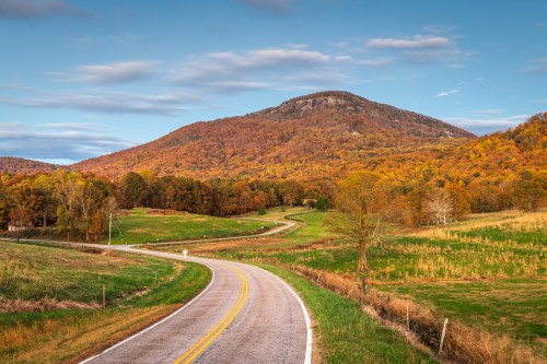 A winding road leads through vibrant autumn foliage and rolling hills under a clear blue sky.