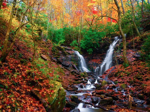 A serene waterfall cascades through vibrant autumn foliage, surrounded by colorful leaves and lush greenery.