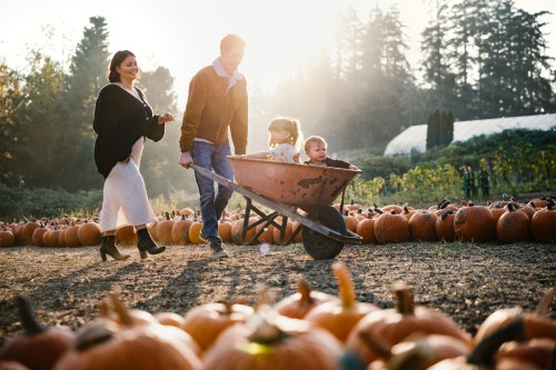 A family walks through a pumpkin patch, pushing a wheelbarrow with two children, surrounded by pumpkins and trees.